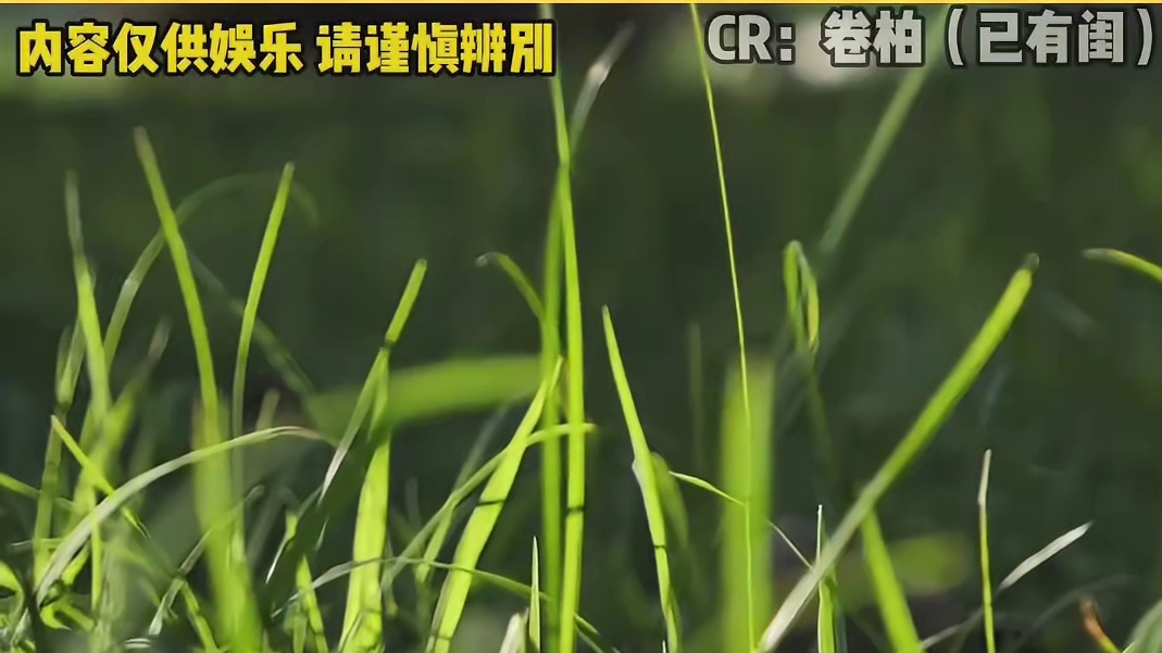 幸亏她醒了，不然就该导员长眠了