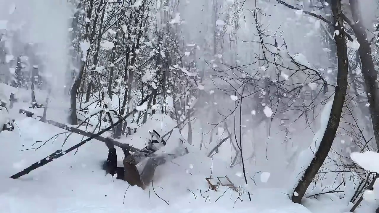 第1集：冰天雪地的天气，男人用枯木给自己搭建了舒适的荒野小屋