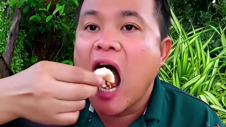 新鲜臭菜苗剁椒凉拌️墨鱼块大虾