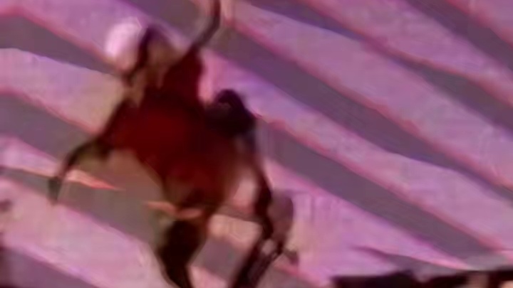 传奇永不落幕，只会迭代升级！ 创始运动员 ——Ryan Sheckler