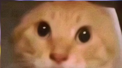 从蓝色星原到因缘精灵再到望月！宠物玩法到底卷什么？ 玩家为什么会选择TA呢？ #