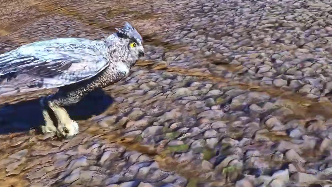 火车撞倒猫头鹰