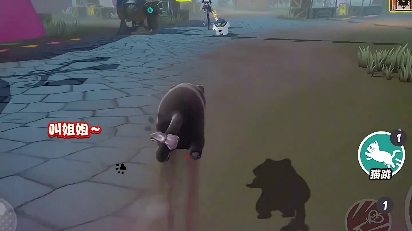 当梵蒂娅遇见艾琳