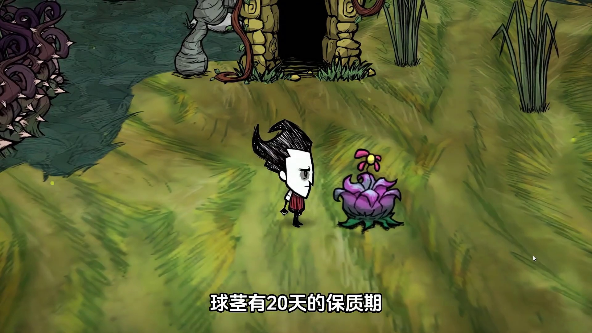 饥荒单机版：哈姆雷特的花粉季总打喷嚏该怎么办？