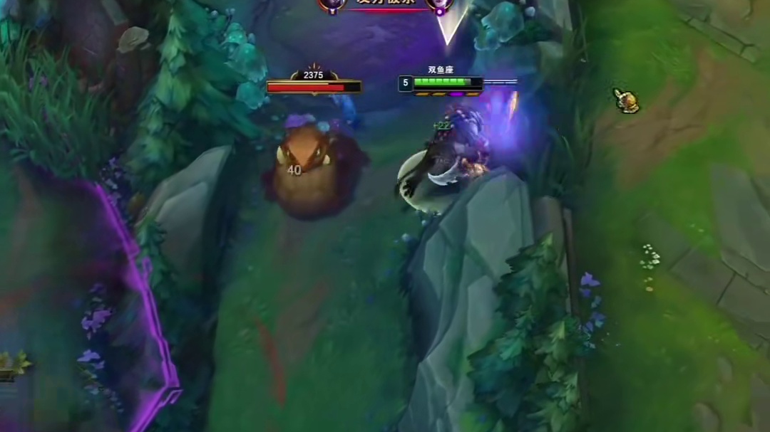 玩狮子看到布甲鞋这三个字都会下意识的一震