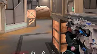 無畏契約哪個段位被高估？哪個段位被低估？