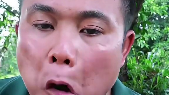 爆辣️木瓜丝牛耳朵黄花蔺