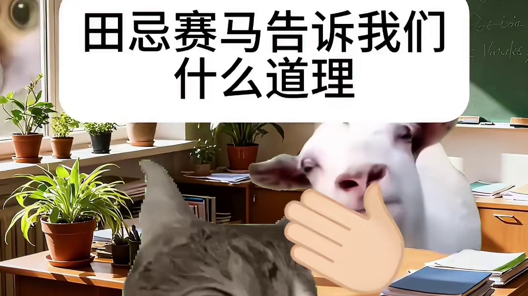 你从中得到什么道理