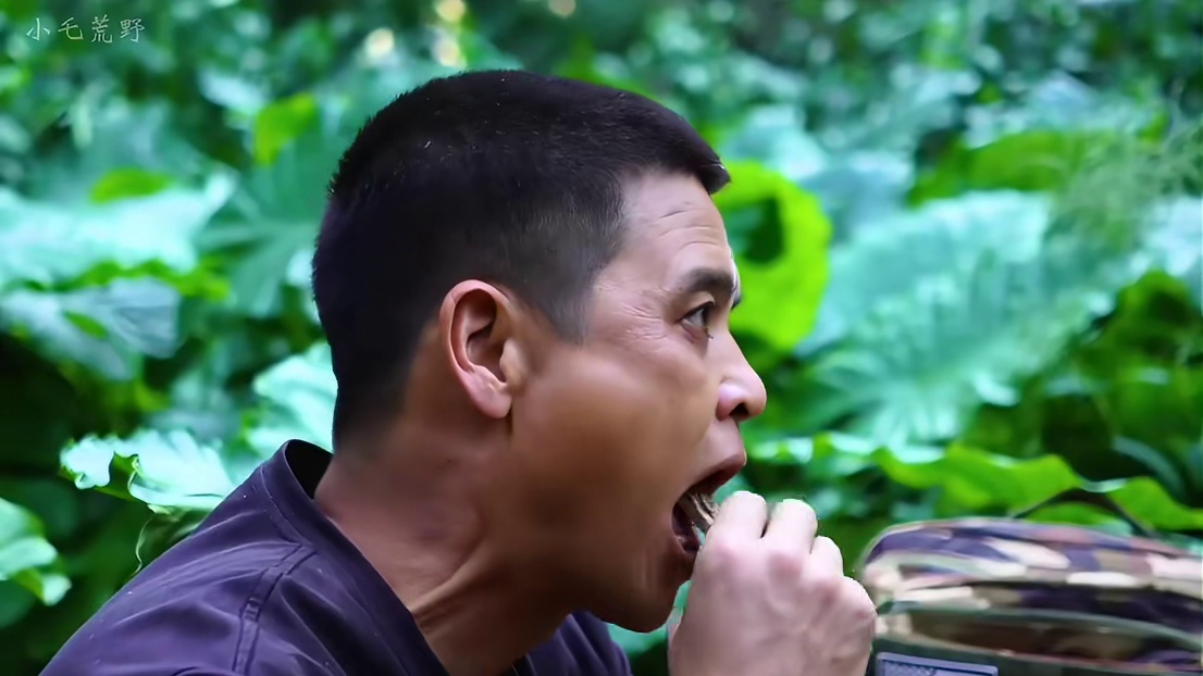 野外建造：这绝对是最安全的庇护所，男人在千年古树上搭建庇护所！