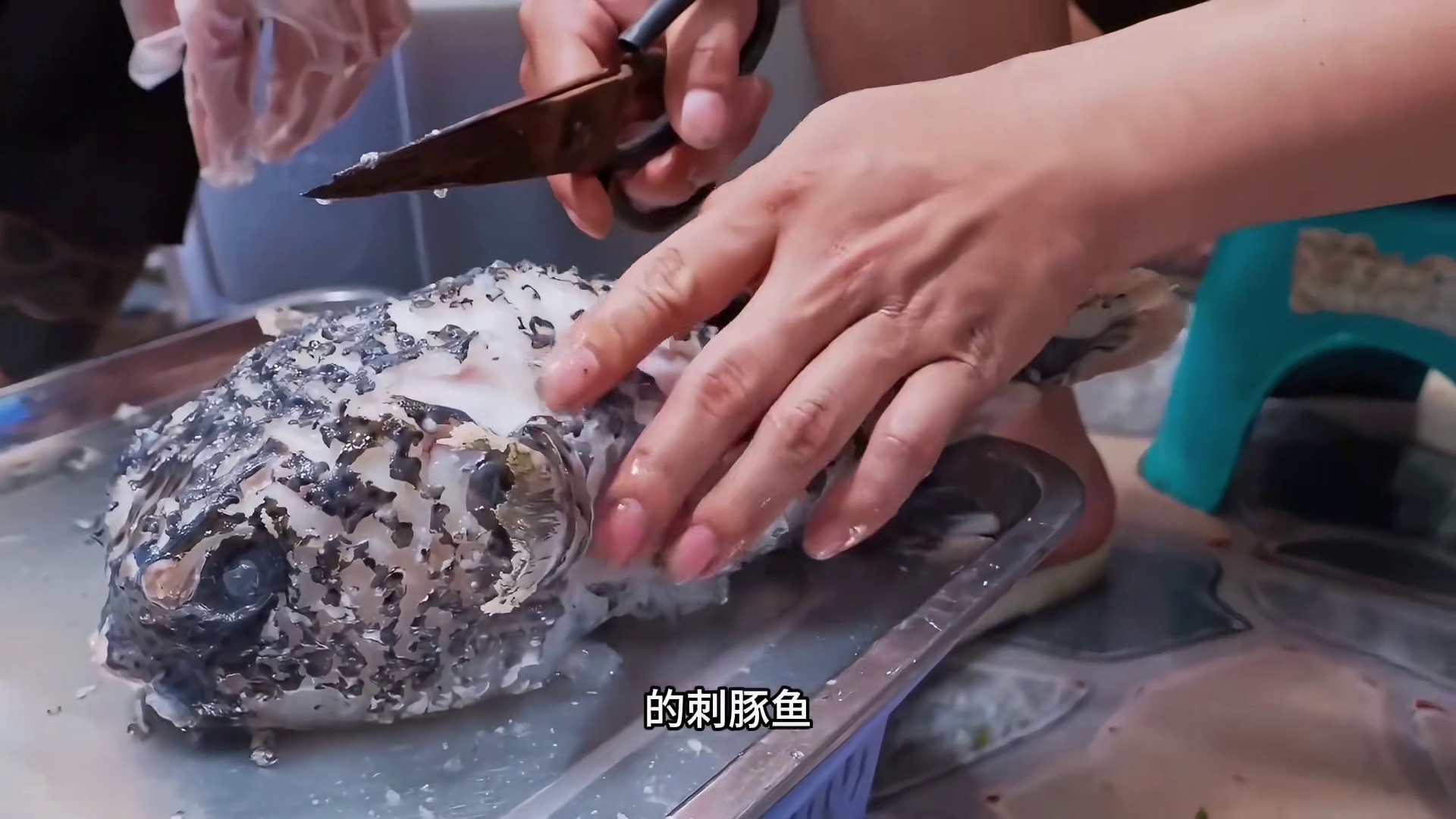 还是逃不出嘴刁渔民的双手