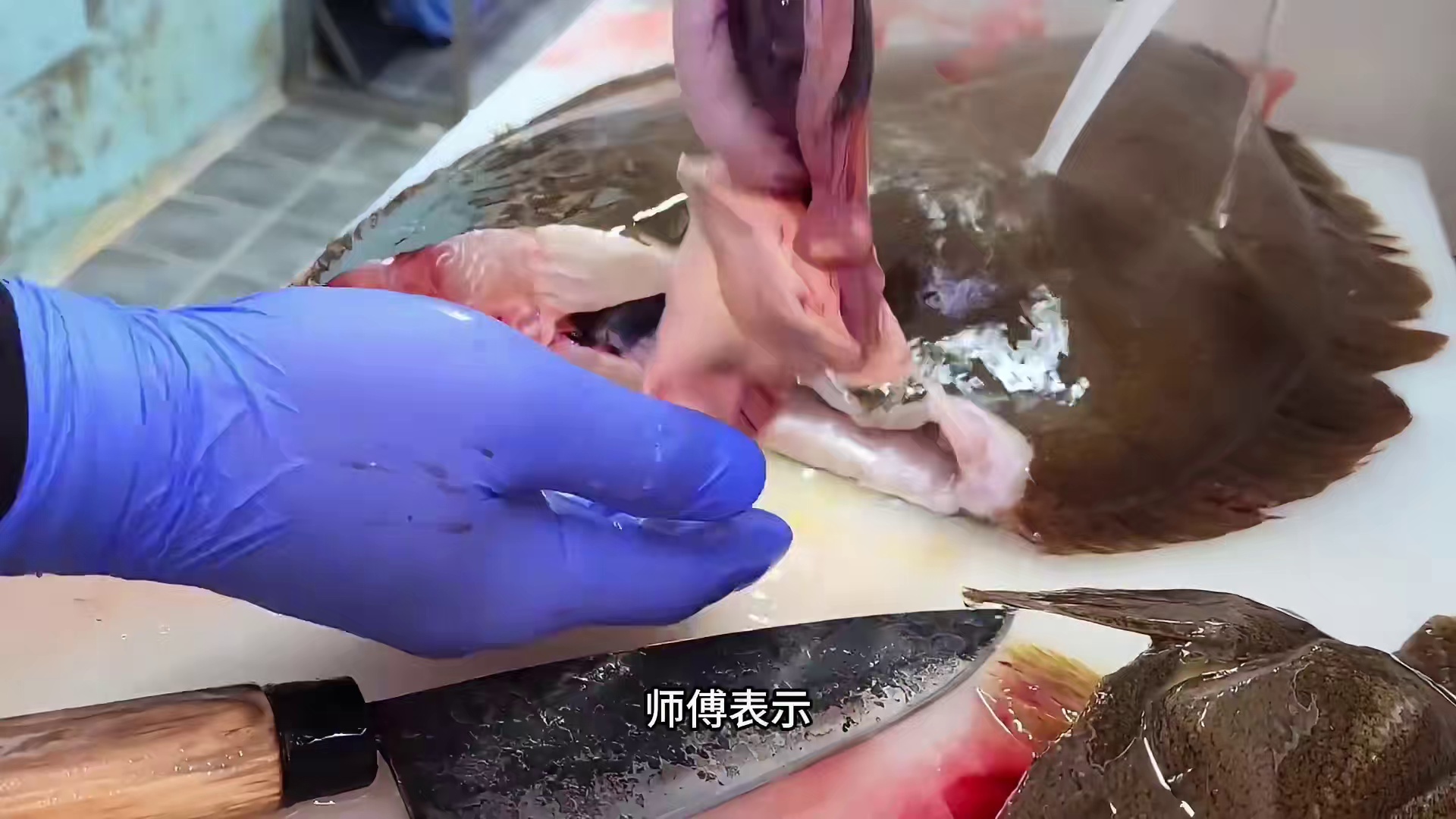 刚捕捞起来的比目鱼就被师傅快速的切晕做成刺身