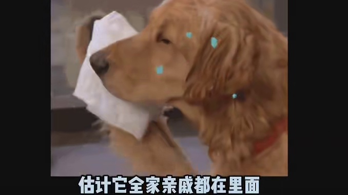 还好她戴了压蛇帽