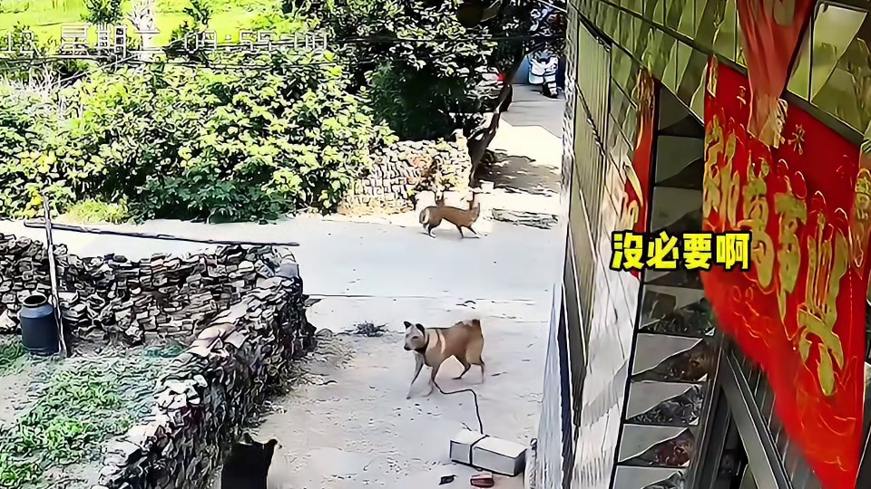 还是你活的通透啊