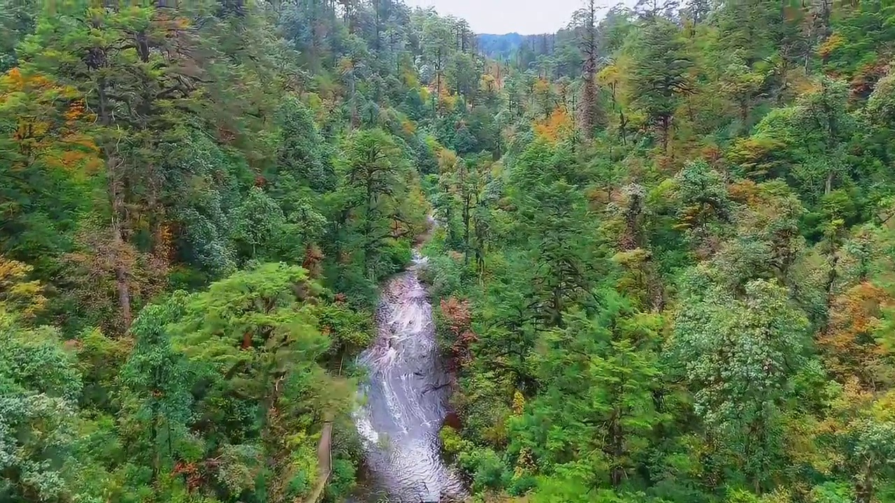 想要一次看尽秋日所有美好？那就来龙苍沟吧！