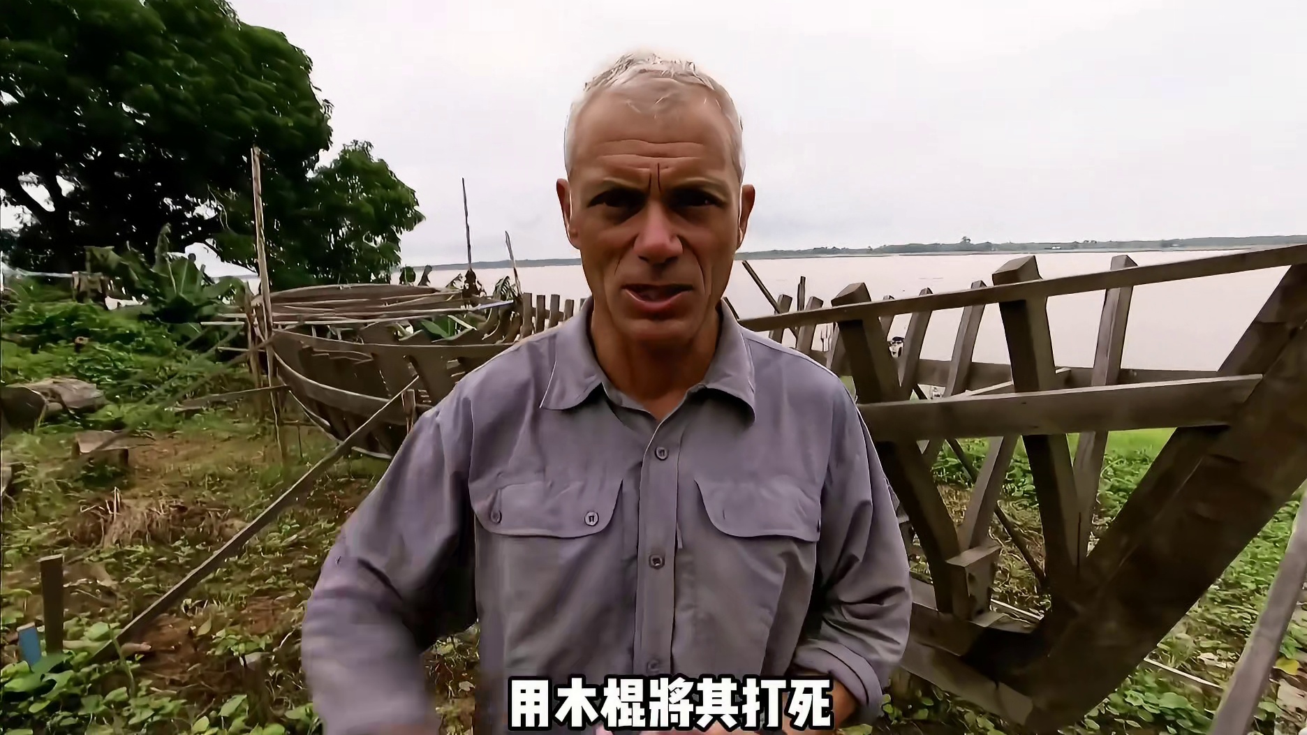 杰叔调查亚马逊河流最大的鲶鱼种类”须鲶鱼“吞人的真相！！ (1)