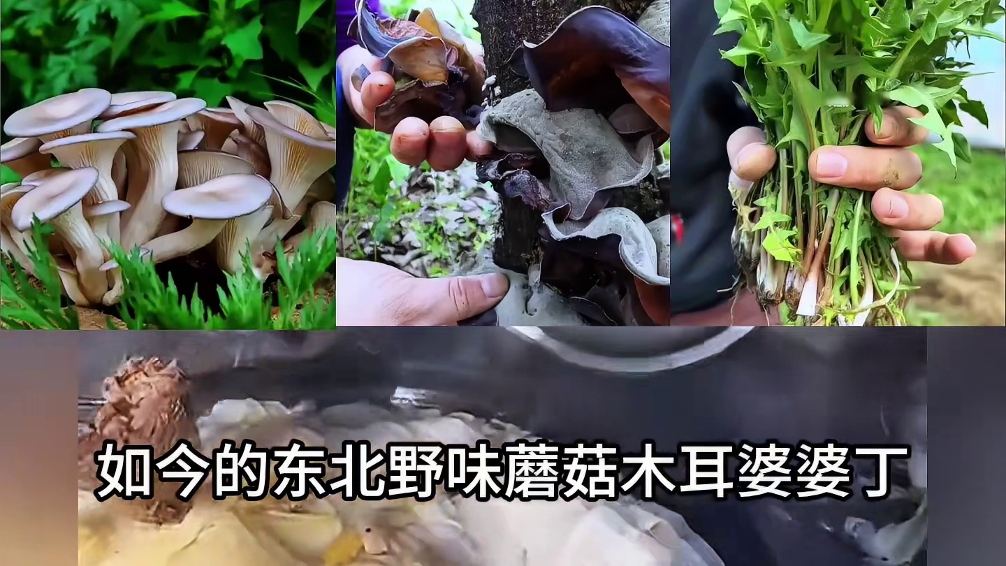 难怪东北菜挤不进“八大菜系”