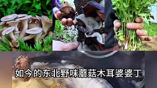 難怪東北菜擠不進“八大菜系”