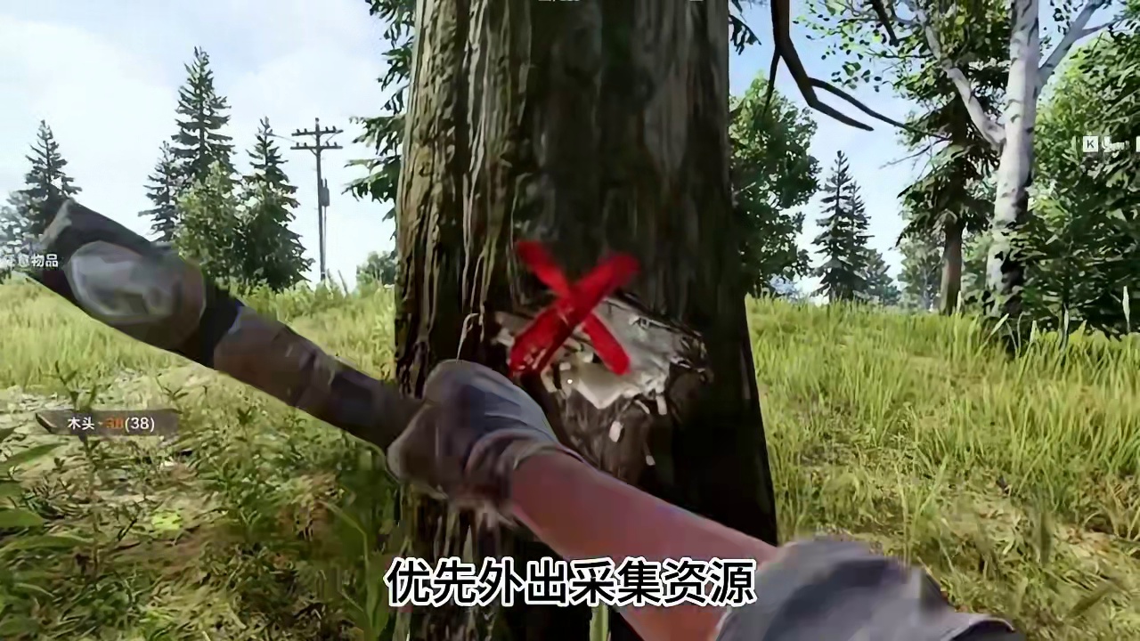 环境威胁应对攻略白天黑夜生存法则