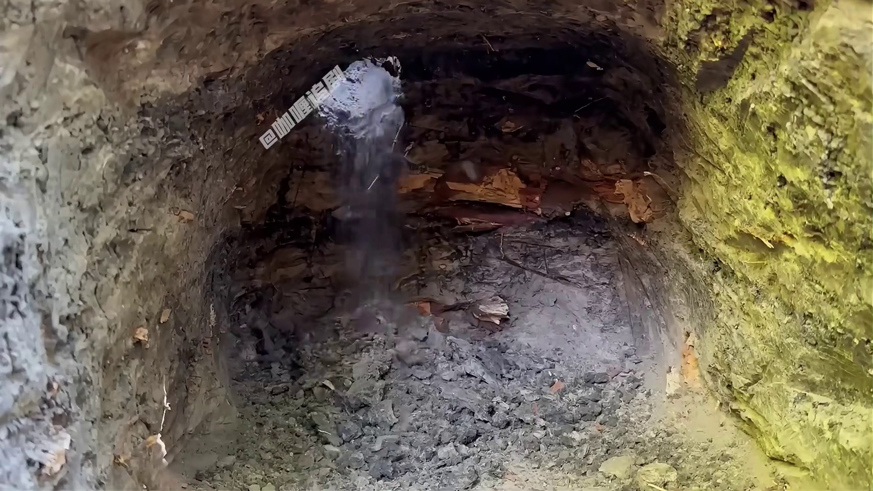 在野外还是这样的庇护所安全，足以抵御各种猎食者袭击