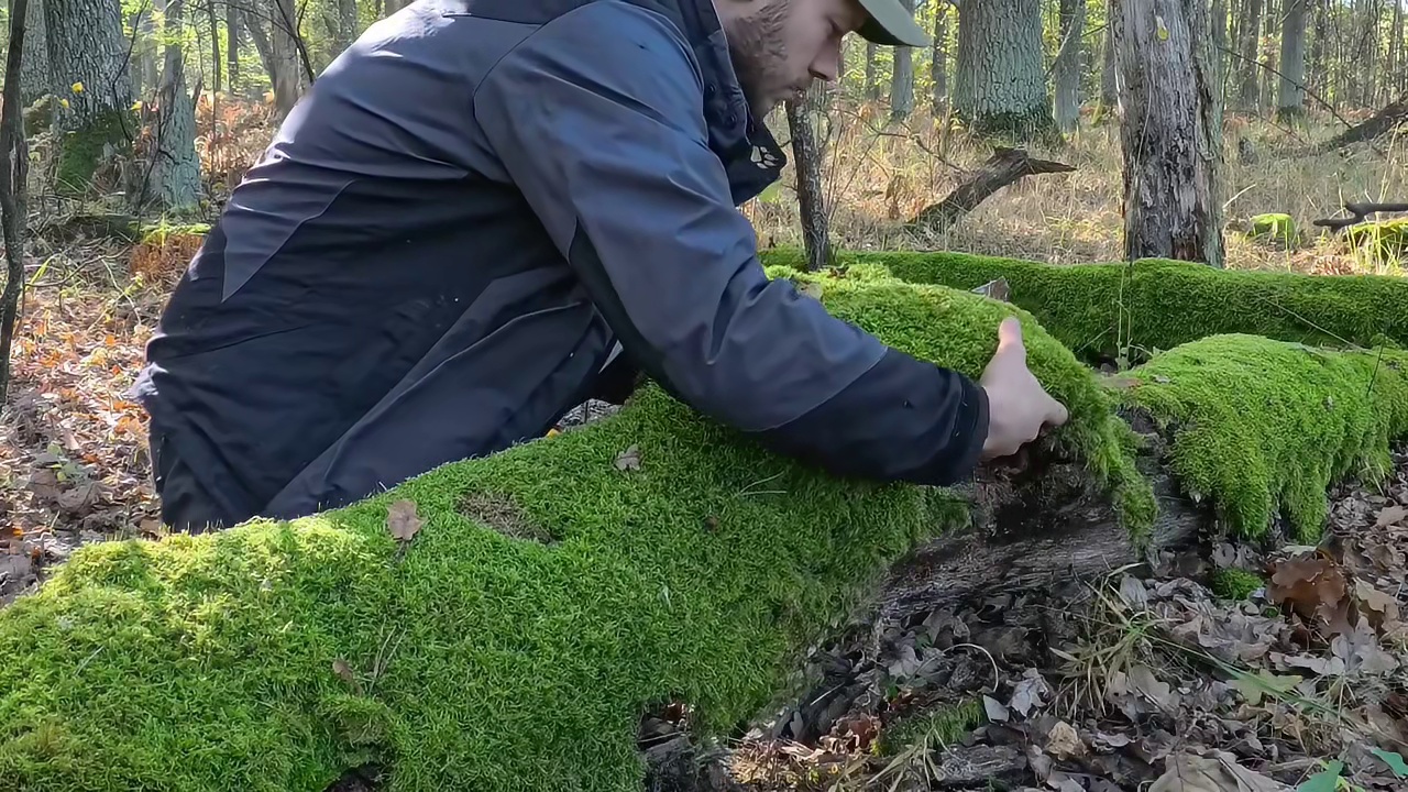 谁能拒绝睡前来一集解压的荒野建造，保证你看完美美进入梦乡 (3)