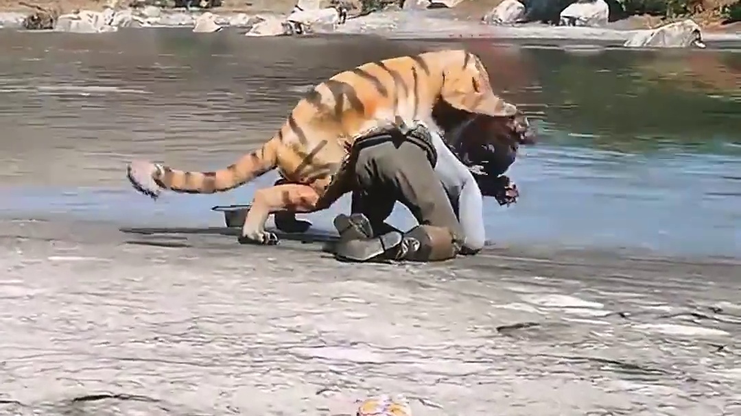 毒蛇一口咬死老虎