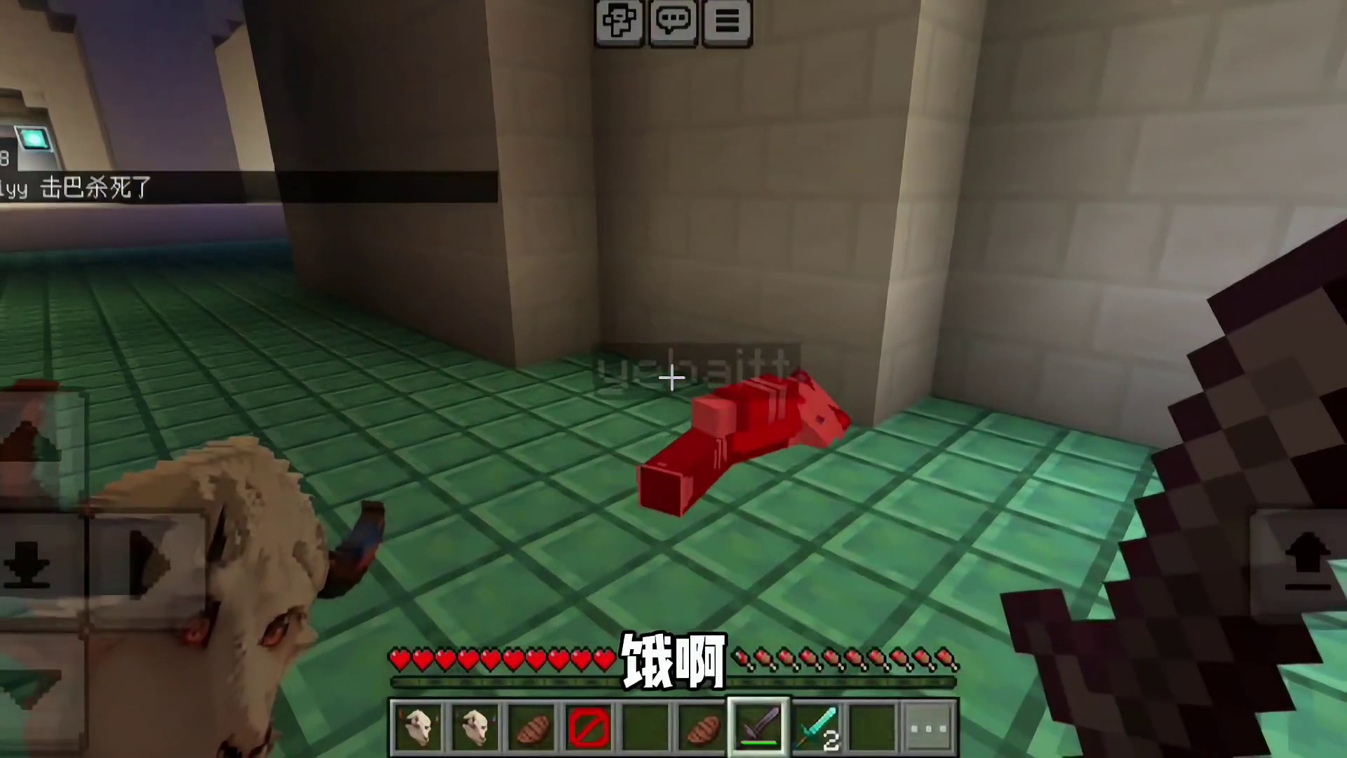 今天我们逃离一百个棒棒棒棒颗秒