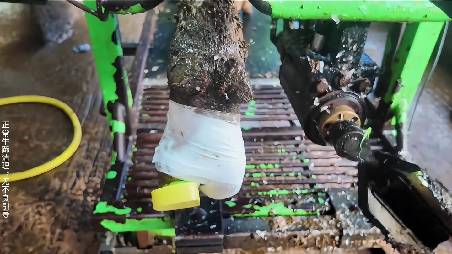 刚一打开手机，就吃了一记飞踢