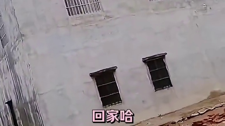 这冰雹也太粗了