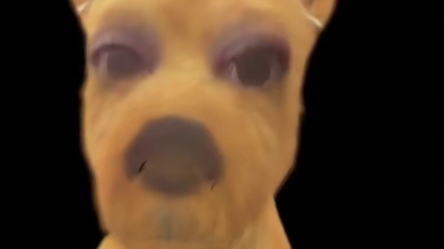 道歉视频 前两天晕车造成胃不舒服，到现在一直不好，每次睡醒的那一会都不会难受，给我一种我睡一觉就会好