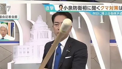 黑熊：马踏东京族谱单开