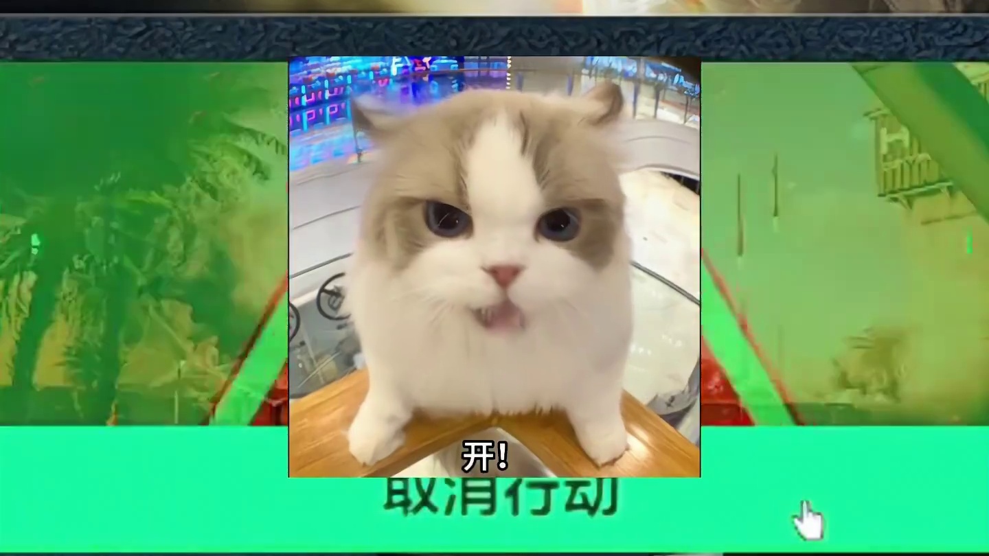 哈哈哈，被夺舍的是哈基蜂，丢装备的是麦晓雯。