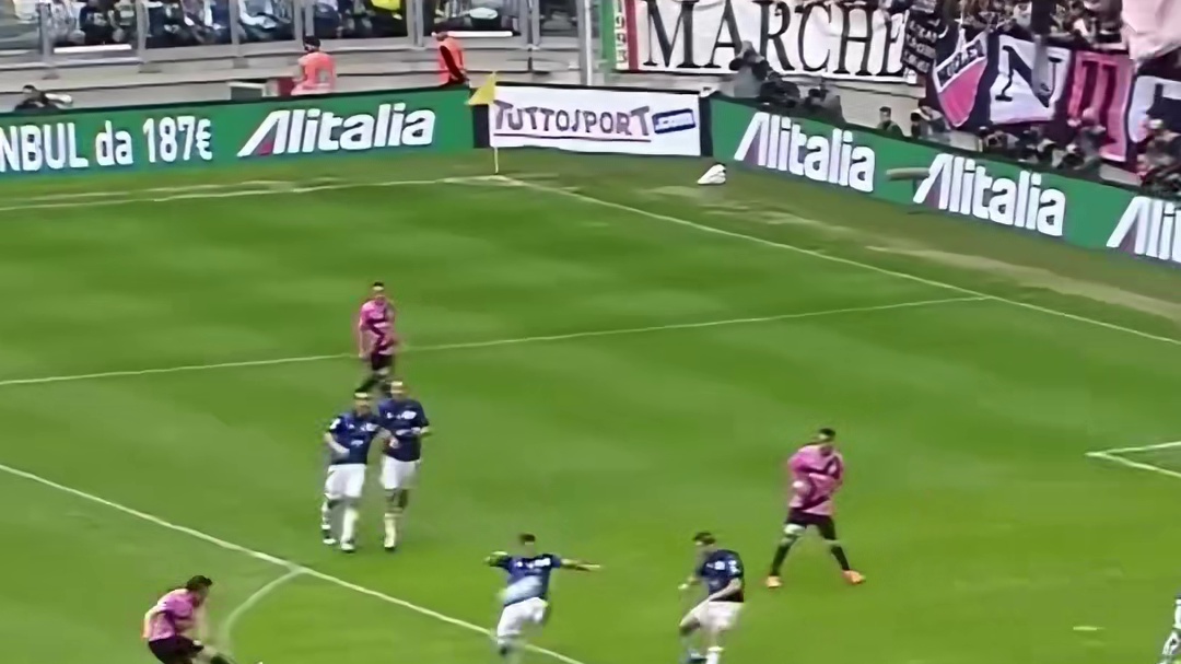 在虹之间的斑马王子不是一般帅啊