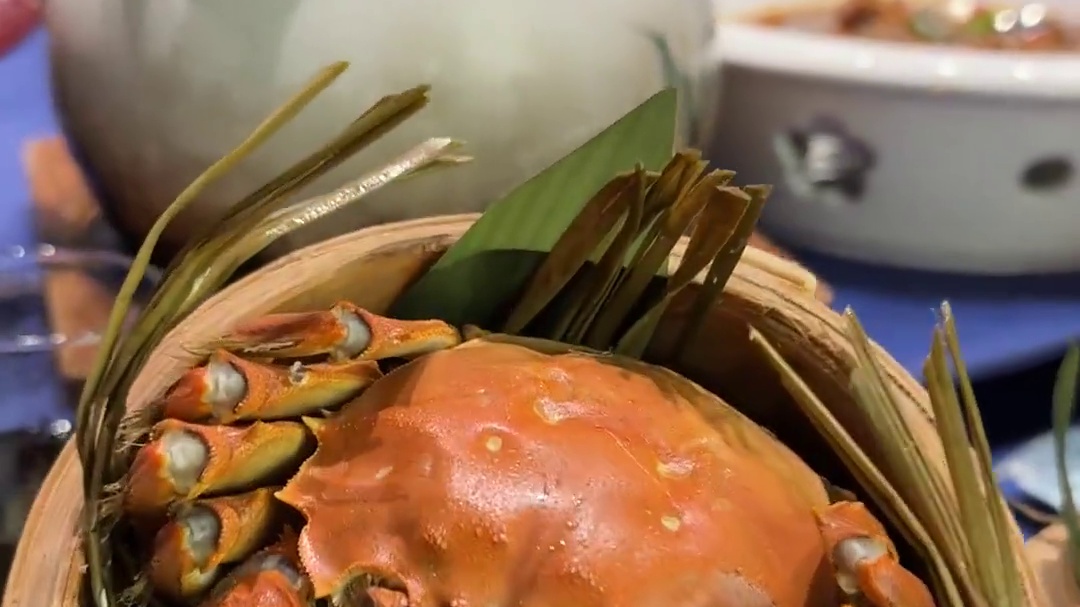 嘿嘿 白鲨大家庭阳澄湖聚餐局