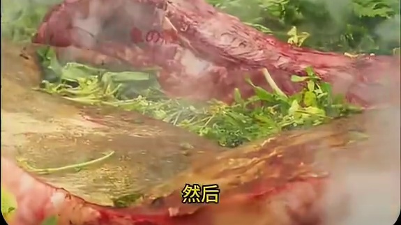 我发布了一个新视频，快来围观吧！