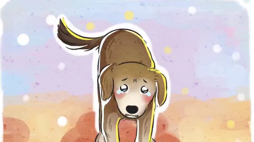 小狗：我终于有家了