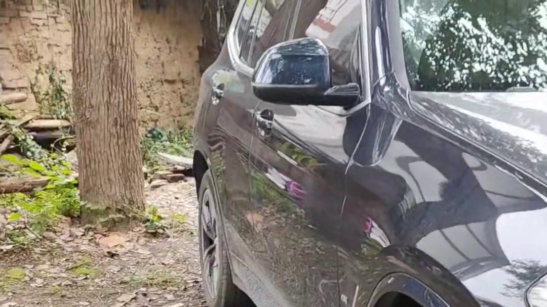 什么叫瘦骨嶙峋我算是真的见到了。今天又在门口捡了一条长着一颗羊脑袋的狗，我给它起名：吉祥