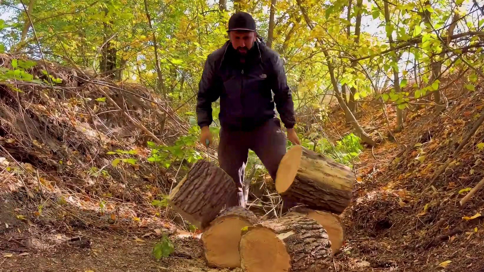 阿杜徒手将千年古树装修成三室一厅的大别野，简直不要太炫酷