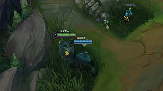 沒想到我出門帶個(gè)導(dǎo)盲犬