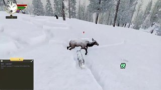 一胎5個小狼崽，怎么全都不像我這個偉大的狼王?。。?！