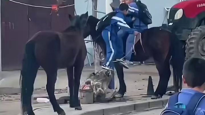 内蒙古高考，真考骑马吗