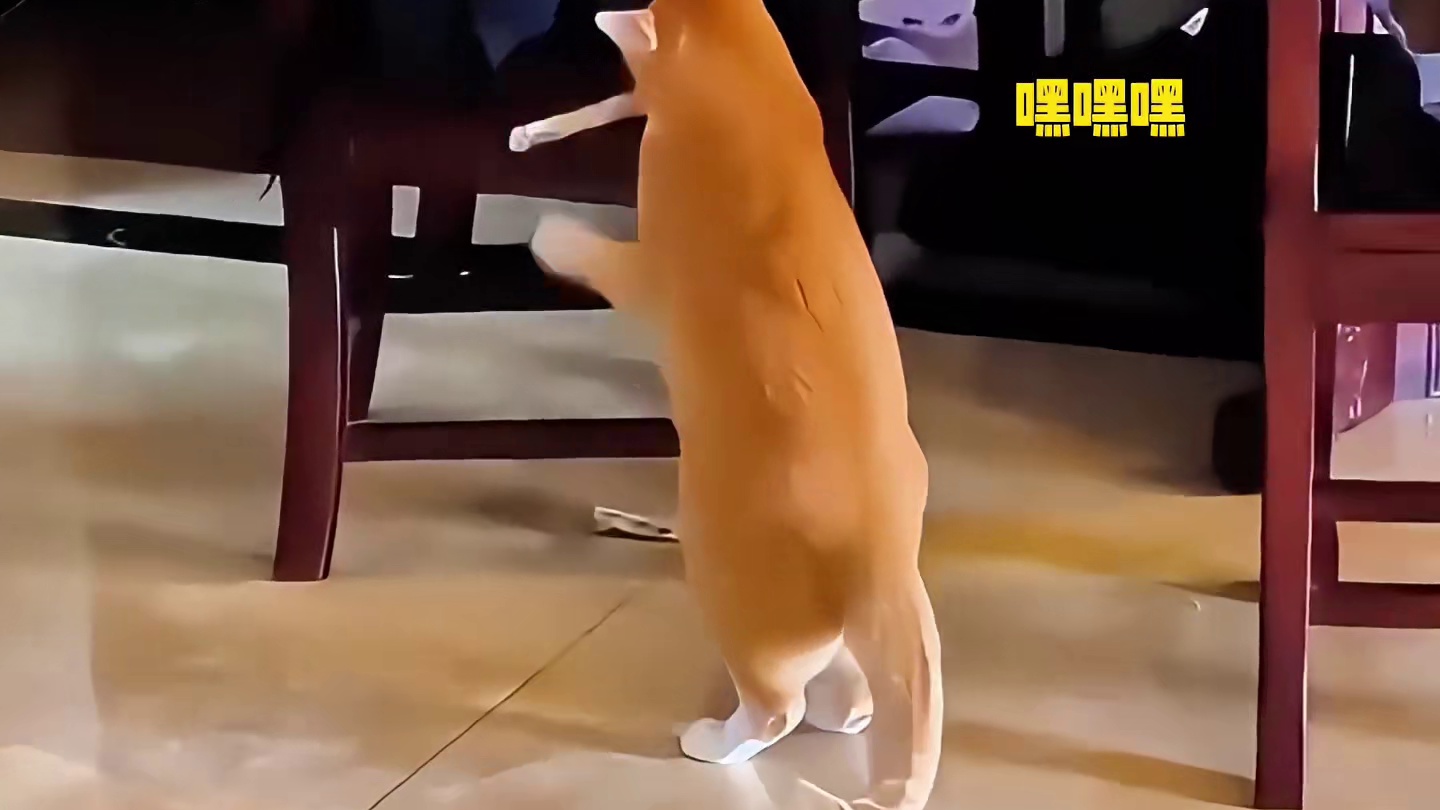 怎么会有这么臭的脚啊！