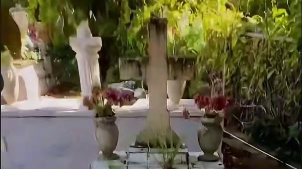 美女网红作死夜闯墓园，居然给陌生人打扫墓地？异事频发！