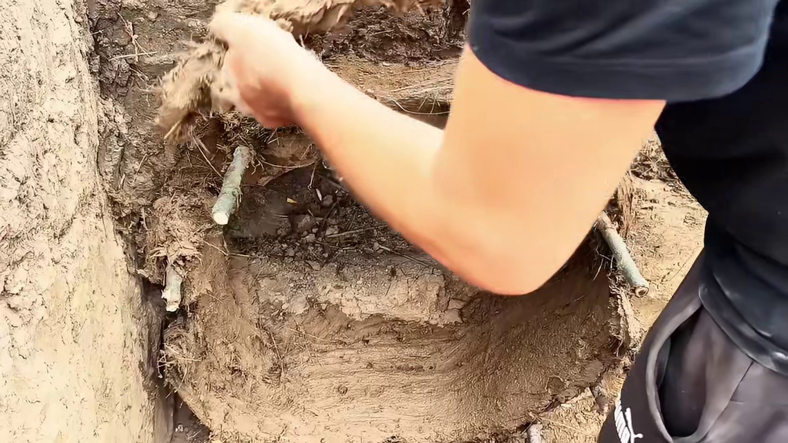 第1集：为了躲避野兽的袭击，男人在野外搭建了舒适的荒野小屋
