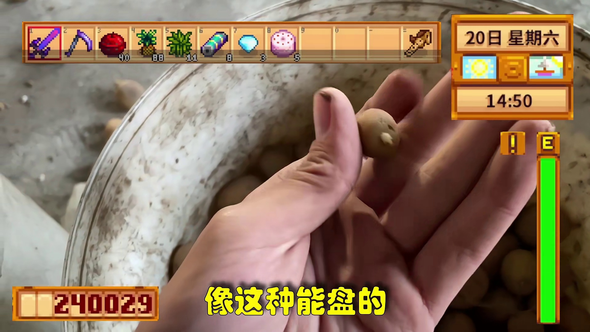 【星露谷物语】土豆，收拾完了！