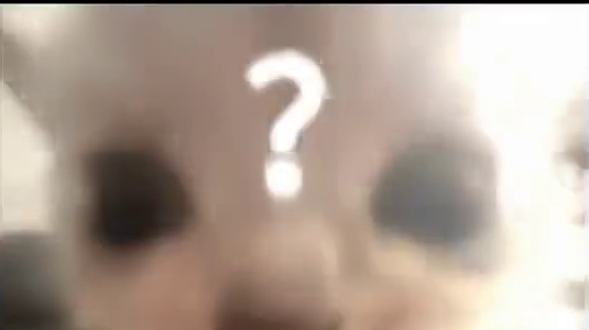 开局逆风？等我回国处理