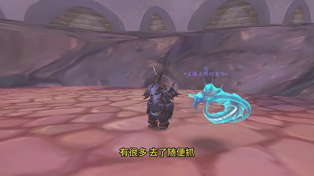 4种像彩带一样的蛇宝宝怎么抓 站街神宠他来了