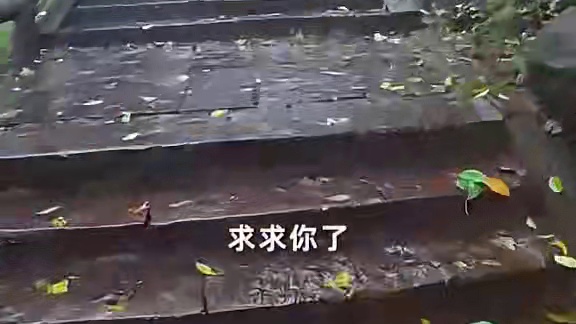 第一视角带你一镜到底云爬蒙顶山！