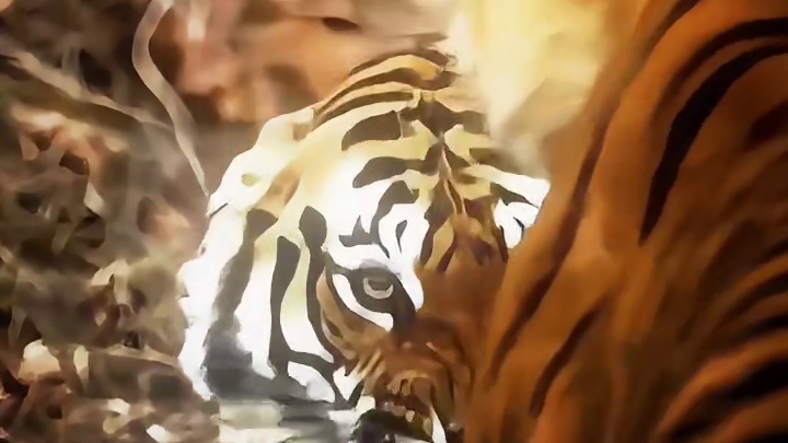 雄虎的压迫感别说你了 母虎都吓的不清