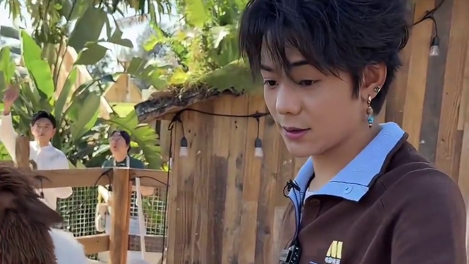 和“表情包”羊驼自拍，他说有点怕羊驼会