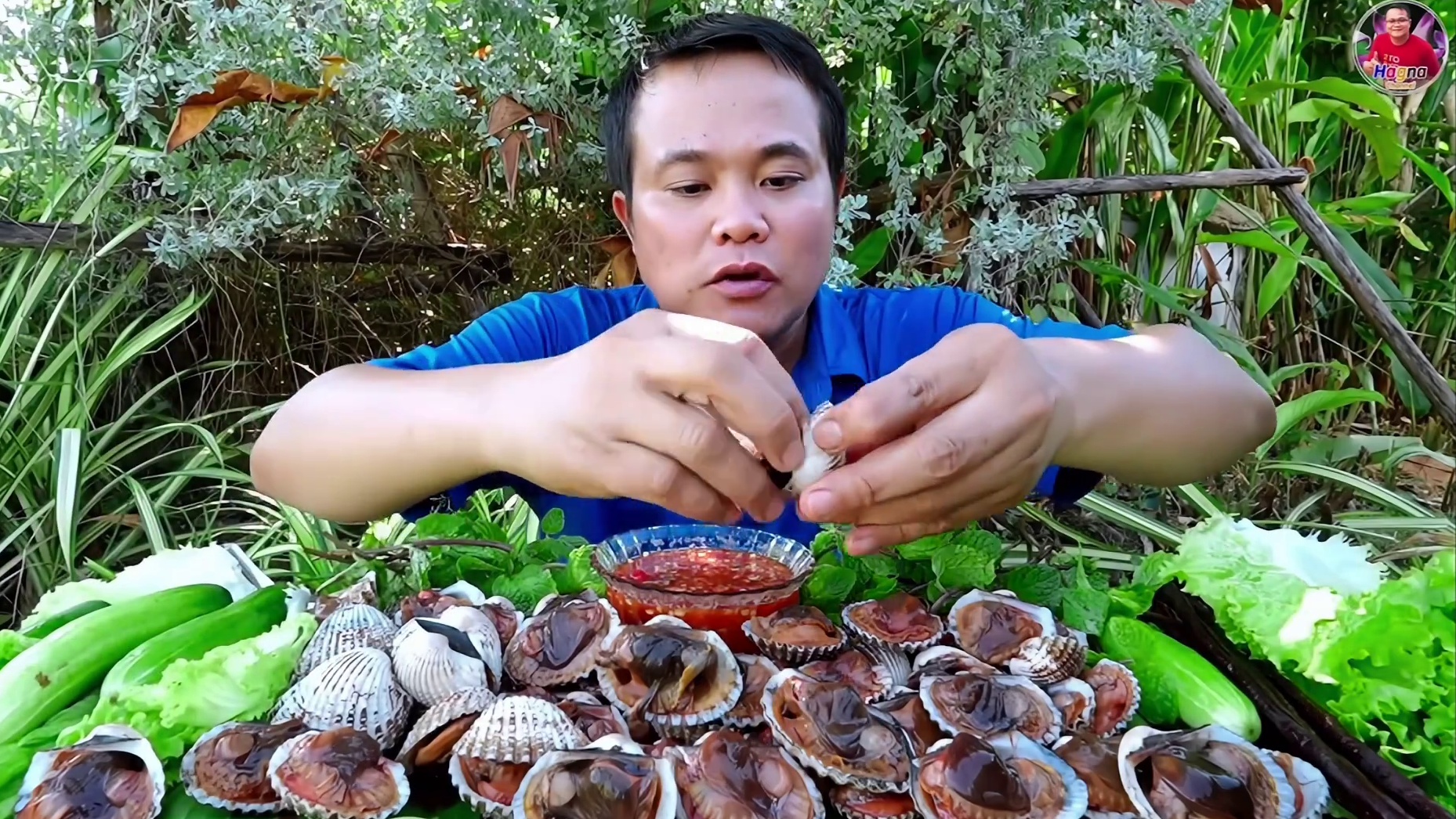 完整版️鲜辣酱汁紫色长豆角流汁大毛蛤